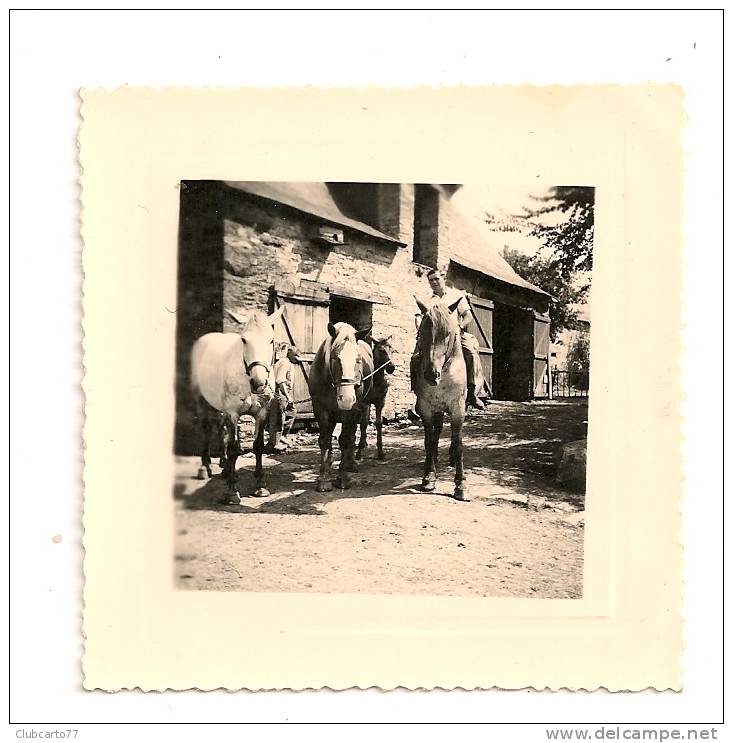 Le Perray-en-Yvelines (78) : Sortie En Cheval De La Ferme En 1952 (animée) PHOTO RARE. - Le Perray En Yvelines