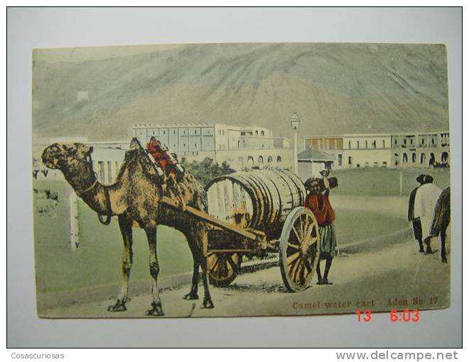 9555 ADEN CAMEL WATER CART  AÑOS / YEARS / ANNI  1910 OTHERS IN MY STORE - Non Classés