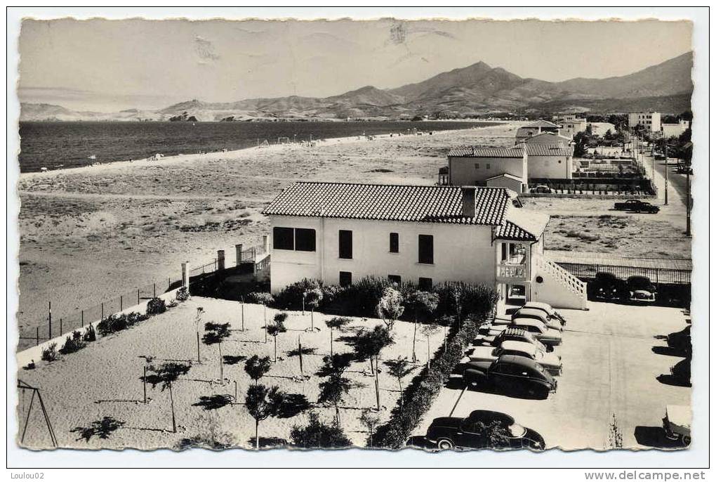 66 - ARGELES SUR MER - La Plage Et Les Jardins De L´annexe De L´hotel Lido - Bord Dentelé - Argeles Sur Mer