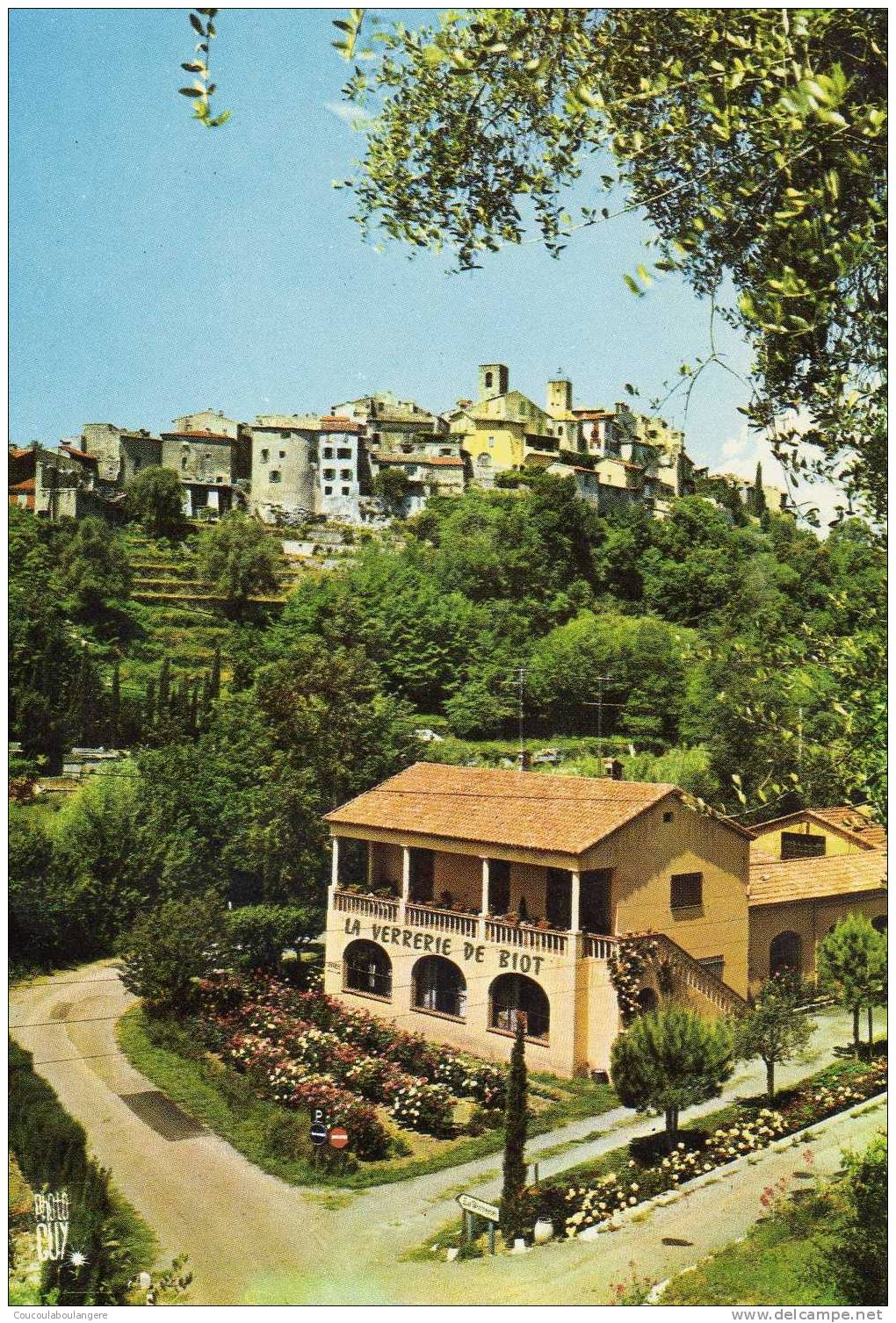 BIOT (06) - Vue De La Verrerie - Biot