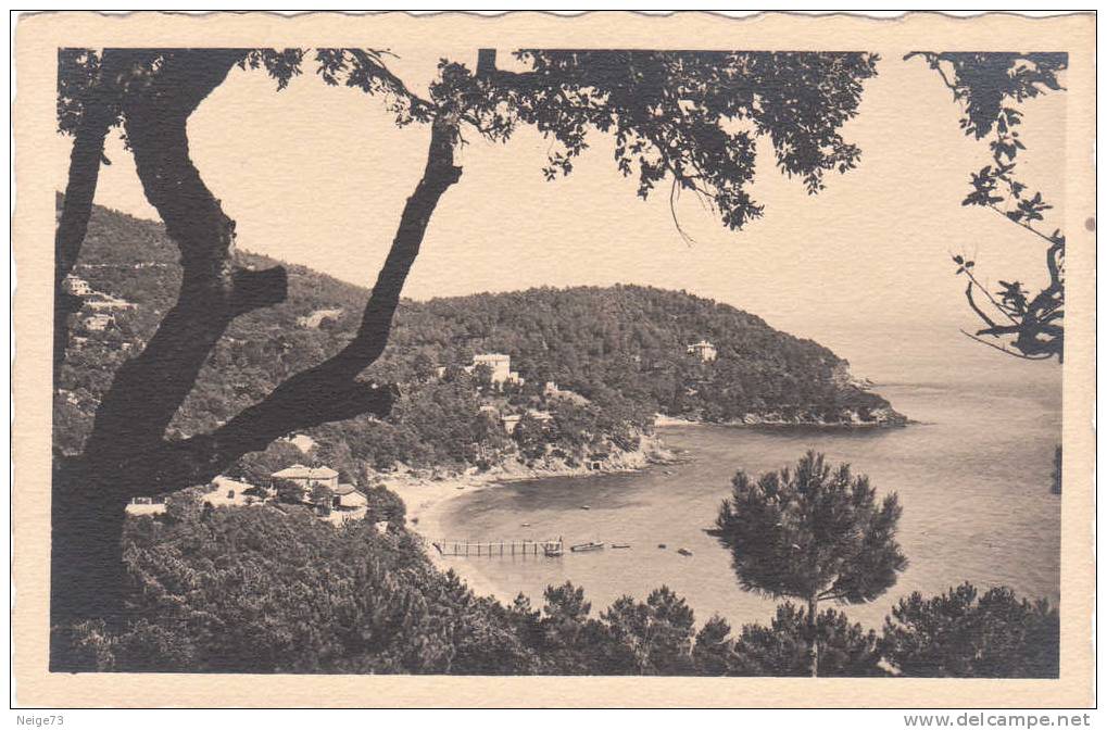 Cpa Du 83 - Le Rayol - Rayol-Canadel-sur-Mer