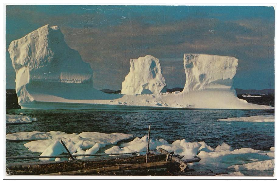 Chrome Postcard, Iceberg Off Twillingate, Notre Dame Bay, Newfoundland - Other & Unclassified