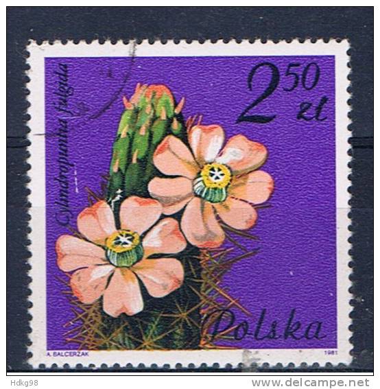 PL+ Polen 1981 Mi 2787 Blume - Gebraucht