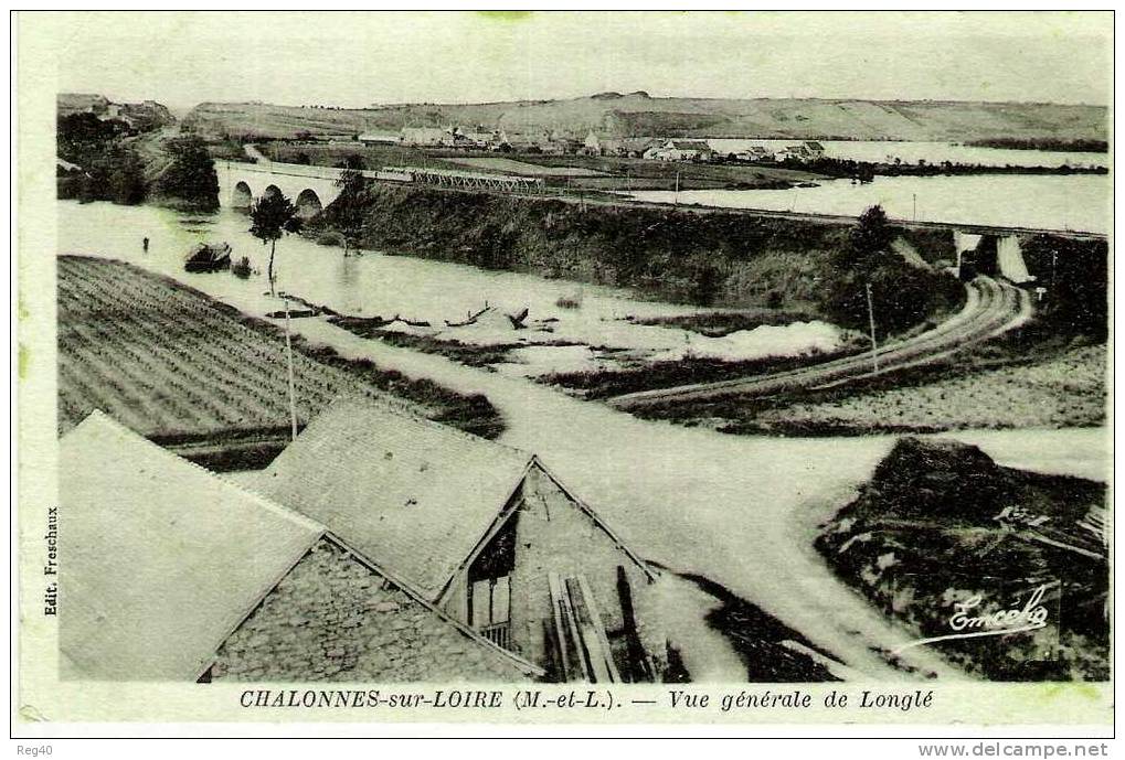 D49 - CHALONNES SUR LOIRE  - Vue Générale De Longlé - Chalonnes Sur Loire