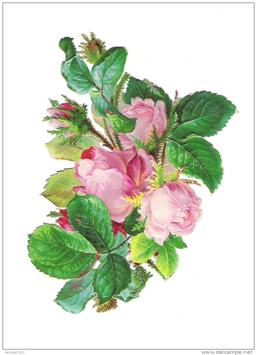 JOLI BRANCHE DE ROSE - CHROMO DECOUPI GAUFFRE - SUPERBE - Fleurs