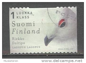 Finland 2000 Mi. 1543 1. Klasse Vogel Bird Moorschneehuhn - Oblitérés