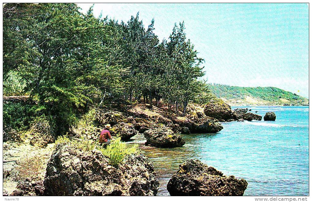 BARBADES BARBADOS SAINT JOSEPH  BATH COAST - Barbades