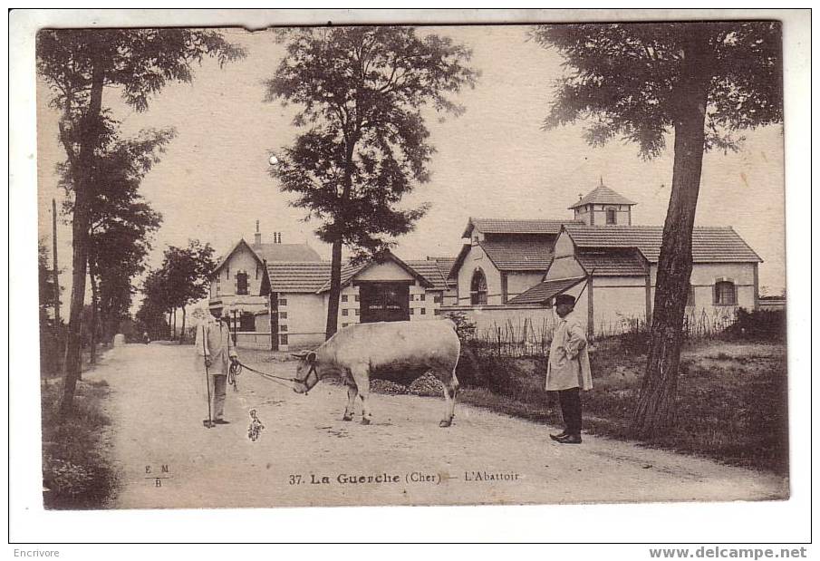 Cpa LA GUERCHE L´Abattoir - Vache Au Licol Et Propriétaire - EMB 37 - La Guerche Sur L'Aubois