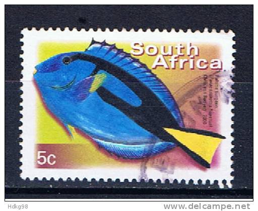 RSA+ Südafrika 2000 Mi 1285 Fisch - Used Stamps