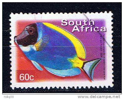 RSA+ Südafrika 2000 Mi 1291 Fisch - Usados