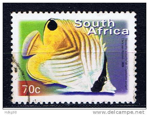 RSA+ Südafrika 2000 Mi 1292 Fisch - Used Stamps