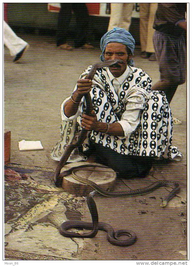 MAROC  -  CHARMEUR DE SERPENT - Autres & Non Classés