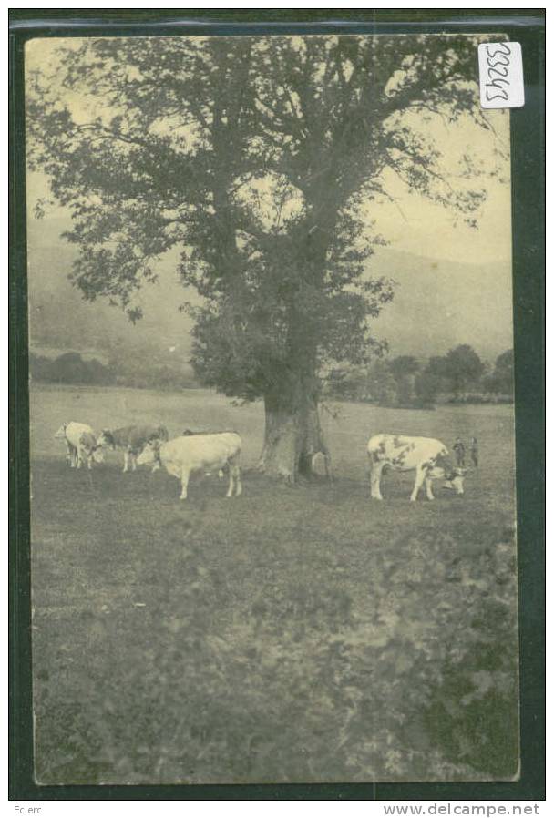 DISTRICT DE NYON /// LA RIPPE - VACHES  - TB  ( MINI PLI D'ANGLE ) - La Rippe