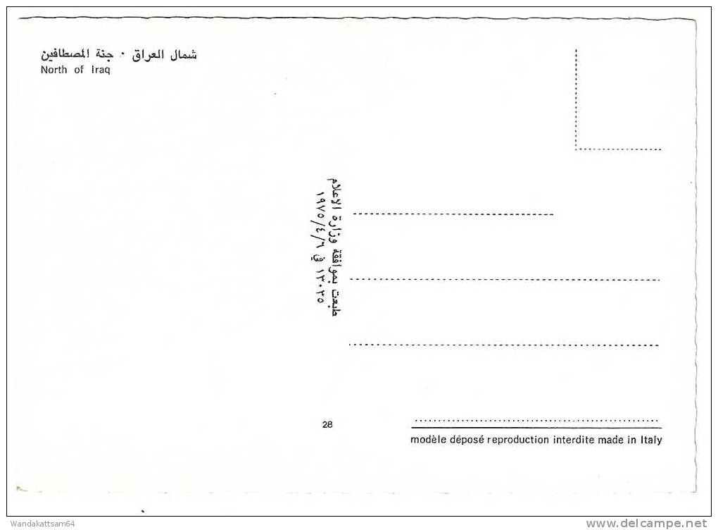 AK 28 NORTH OF IRAQ Tal Berge Gestein Flusslauf - Iraq