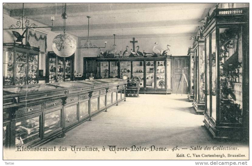 Sint-Katelijne-Waver - Etablissement Des Ursulines - Salle Des Collections -190? - Sint-Katelijne-Waver