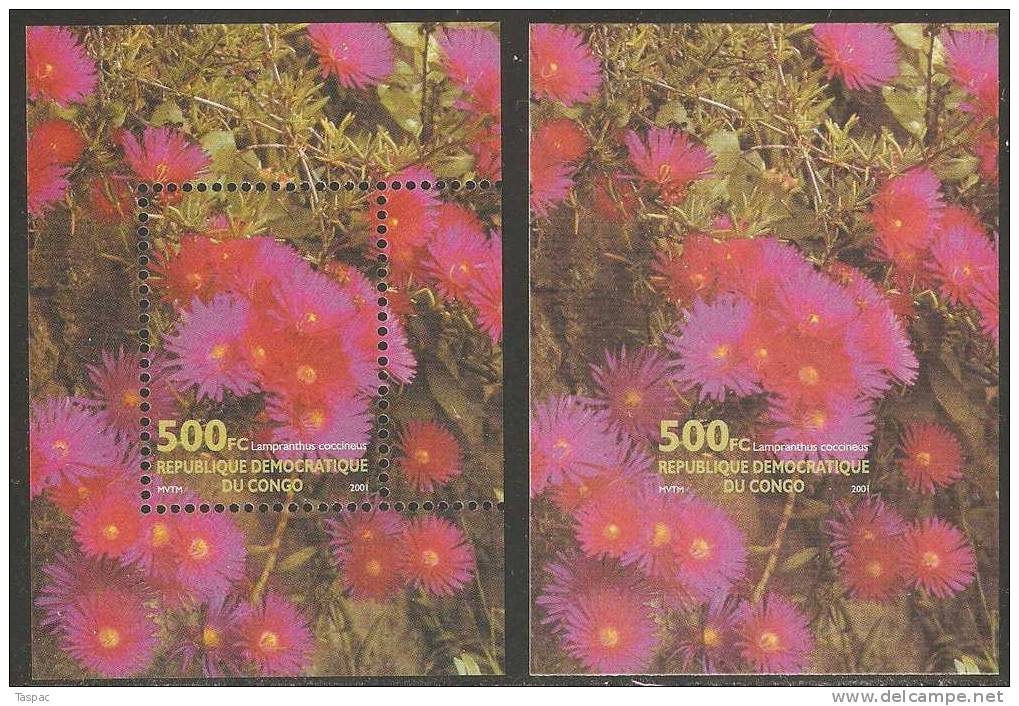 Congo - Kinshasa 2002 Mi# 1698-1701, Block 116 A And B ** MNH - Perf. And Imperf. - Flowers - Mint/hinged
