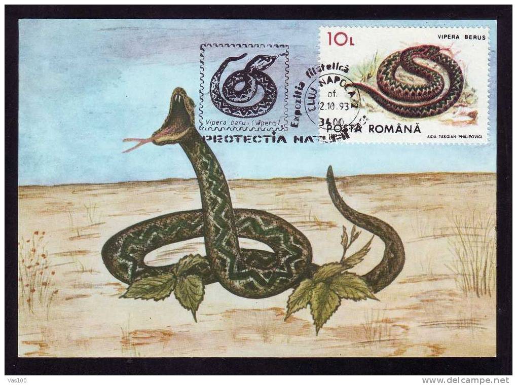 Snake,Serpents "VIPERA BERUS" 1993 Maximum Card Maxicard,obliteration Cluj-Napoca Romania. - Serpents