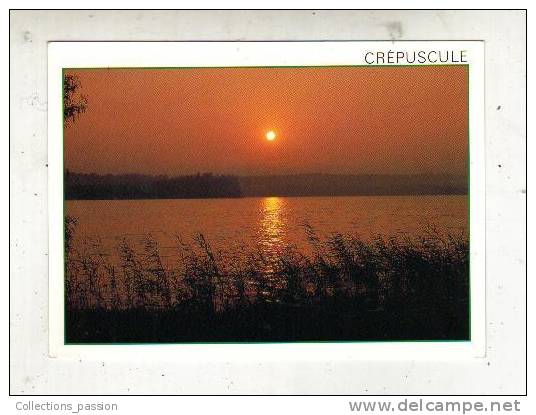 Cp, 40, Les Landes, Coucher De Soleil Sur L'étang, Voyagée 1991 - Saint Vincent De Tyrosse