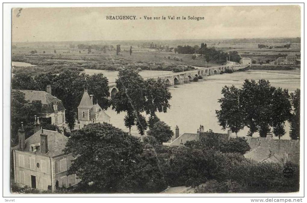 BEAUGENCY. - Vue Sur Le Val Et La Sologne - Beaugency