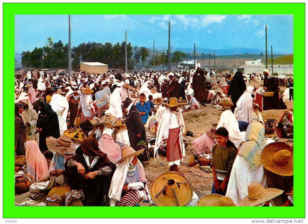 TANGER, MAROC - LOT No 007 - 5 CARTES - MARCHÉ - PLACE DE FRANCE - PALAIS DES SULTANS - PLAGE -HOTEL EL MINZAH - - Tanger