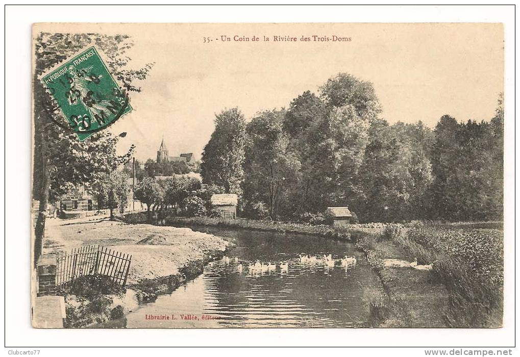 Montdidier (80) : Canards Sur La Rivière Des Trois Doms Et Abords En 1910 (animée). - Montdidier
