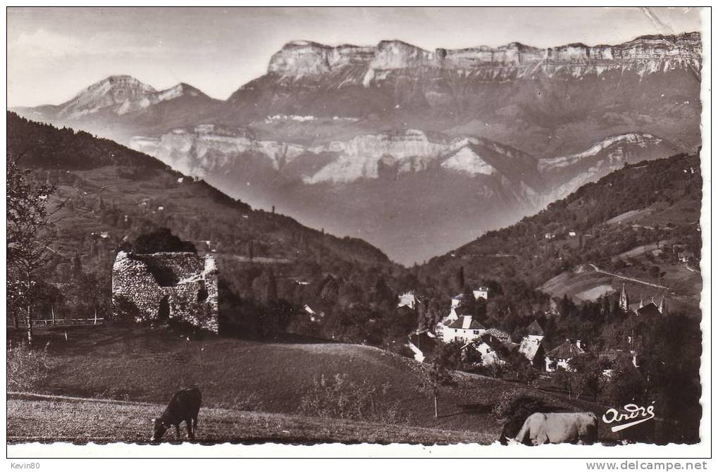 38 THEYS Vue Générale Au Fond Le Plateau Des Petites Roches - Theys