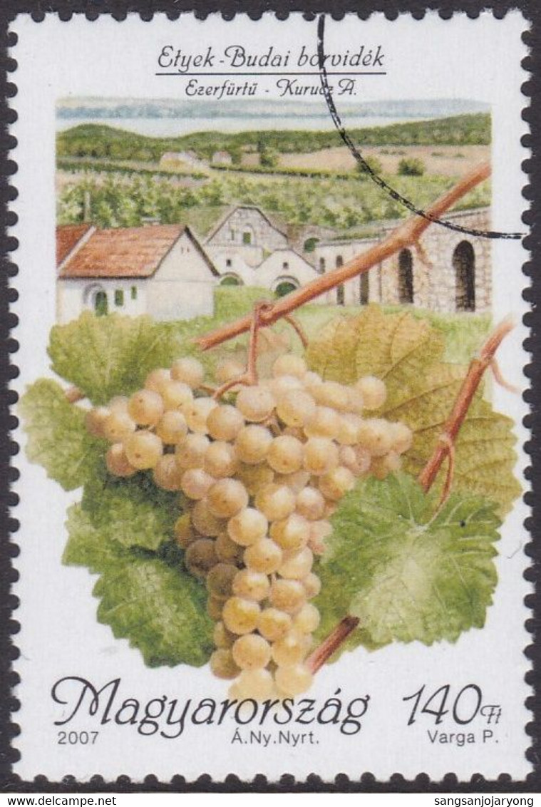 Specimen, Hungary Sc4038 Ezerfurtu Grapes, Wine Production, Etyek-Buda Region - Wines & Alcohols