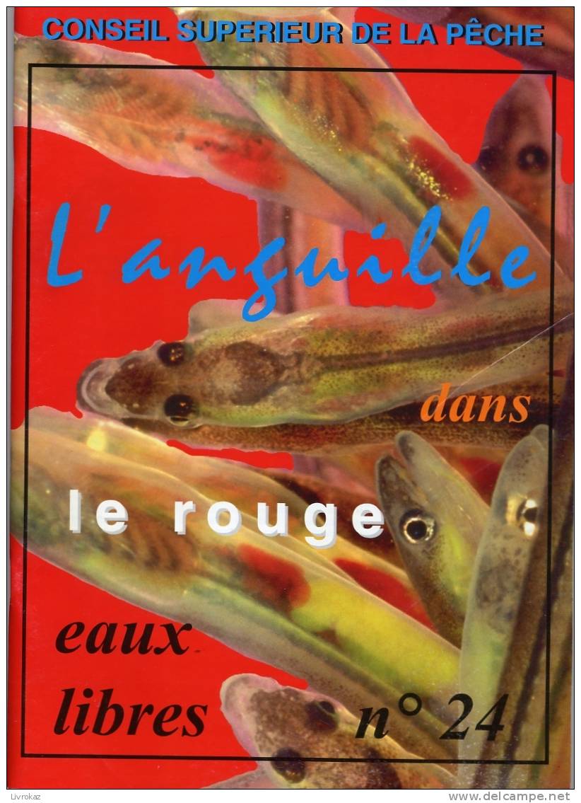 Revue EAUX LIBRES N°24 (1998), Conseil Supérieur De La Pêche - Dossier De 70 Pages : L'anguille Dans Le Rouge - Caccia & Pesca