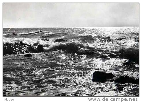 83 LA SEYNE SUR MER Effet De Vagues - La Seyne-sur-Mer