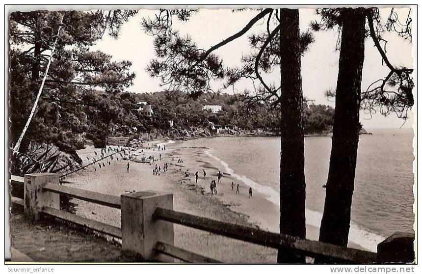 CP Plage Du Canadel 83 Var Rayol Canadel Sur Mer - Rayol-Canadel-sur-Mer