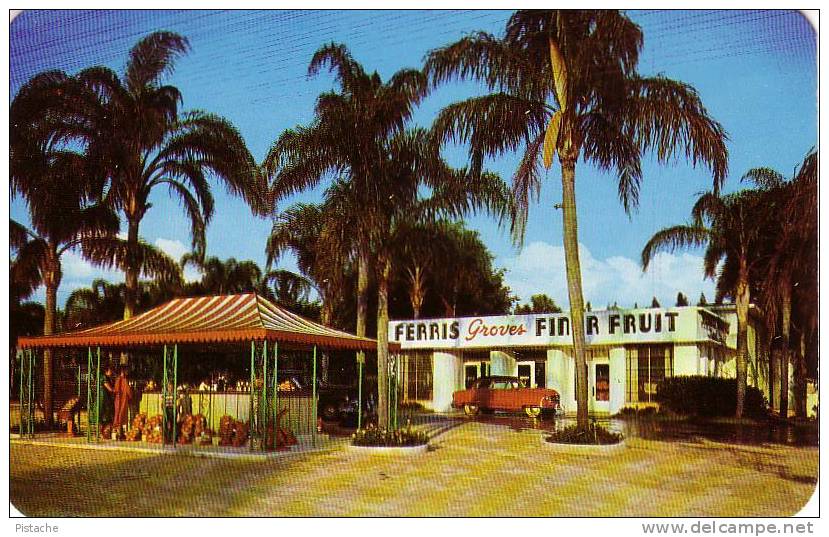 Vintage Copyright 1951 - Floral City, Florida - Ferris Groves Fine Fruit Boutique Store Car Food - Mint Condition - Winkels