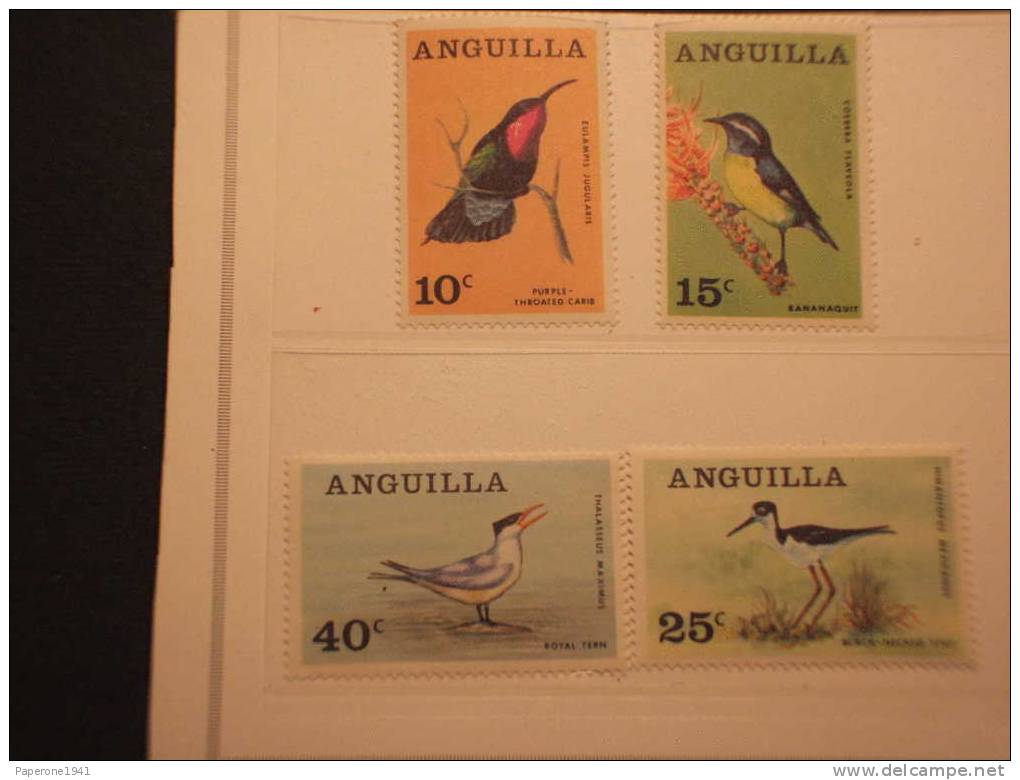 ANGUILLA-1968 FAUNA AVICOLA 4v.-NUOVI(++)-TEMATICHE - Anguilla (1968-...)