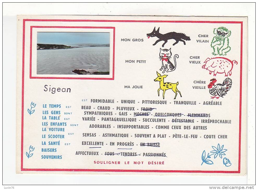 SIGEAN -   Carte 1 Vue -   Dessins Et    Mots :    Soulignez Le Mot Désiré - Sigean