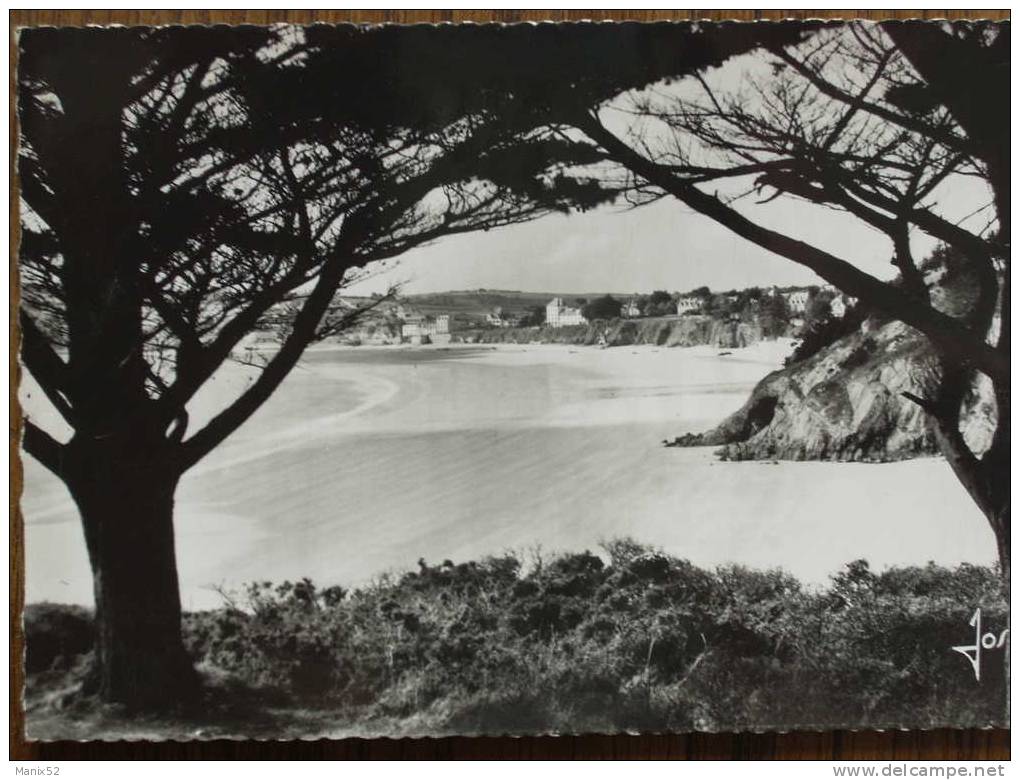 29 - MORGAT - La Grande Plage Et Les Falaises. (CPSM) - Morgat