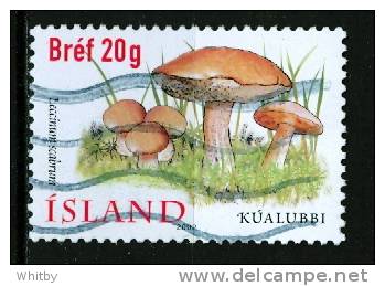 Iceland 2002 40k Mushroom Issue #957 - Used Stamps