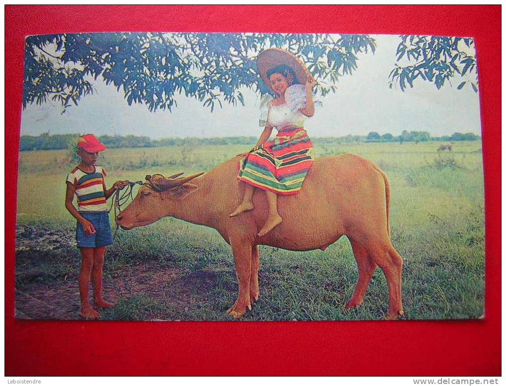 CPSM-ASIE -PHILIPPINES-PILIPINAS -ATTIRED IN BALINTAWAK COSTUME,ATOP A CARABAO,PHILIPPINES -ANIMEE - Filipinas