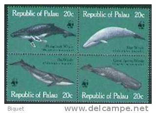 Série De Palau Sur Les Baleines. XX - Dolphins