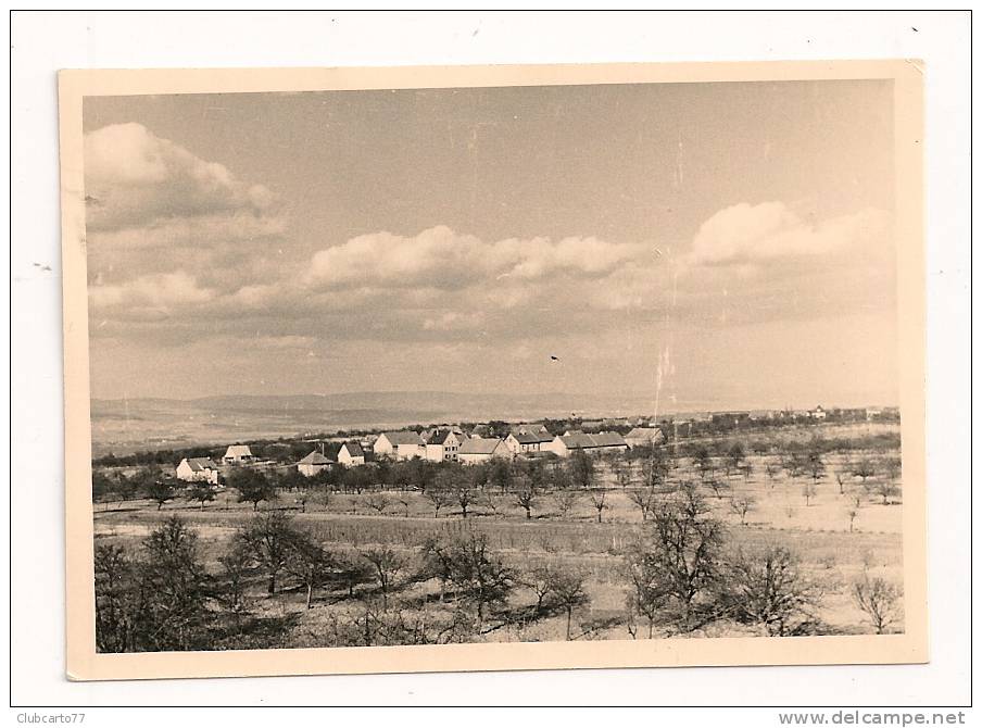 Marburg (Allemagne) : Vue Générale Sur Hameau Environ 1950 (animée) PHOTO RARE. - Marburg