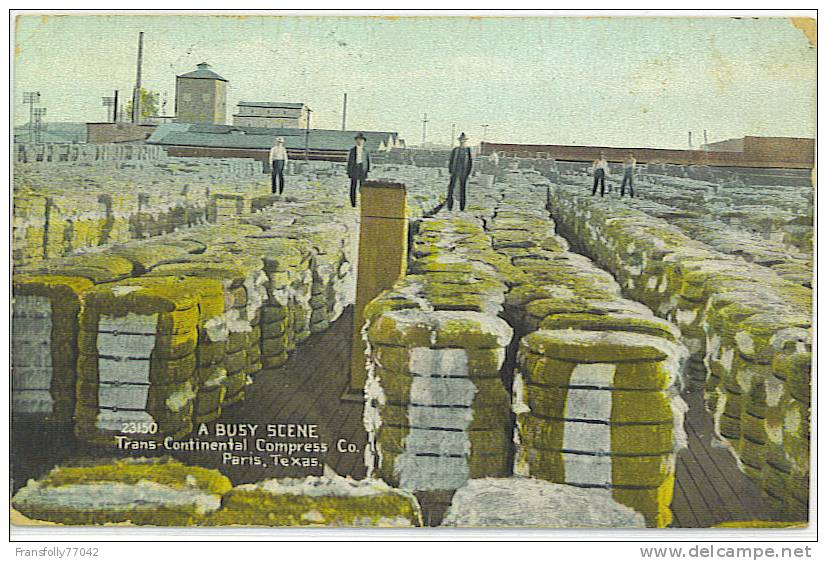 PARIS -  TEXAS - USA - TRANS-CONTINENTAL COMPRESS CO. ( COTTON ) - TONS OF BALES - WORKERS - 1909 - Altri & Non Classificati