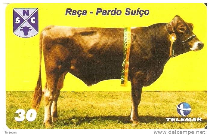 TARJETA DE BRASIL DE UNA VACA (COW-VACA) (6-10) - Cows