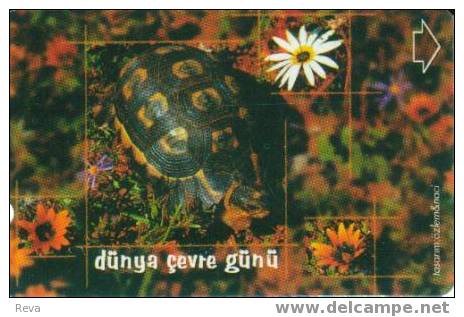 TURKEY  30 UNITS  TURTLE  MARINE LIFE  READ DESCRIPTION !! - Turkije