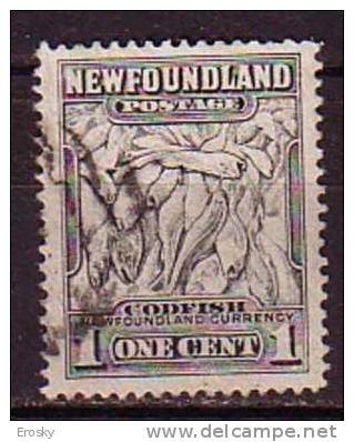 B0127 - BRITISH COLONIES NEWFOUNDLAND Yv N°168 - 1908-1947