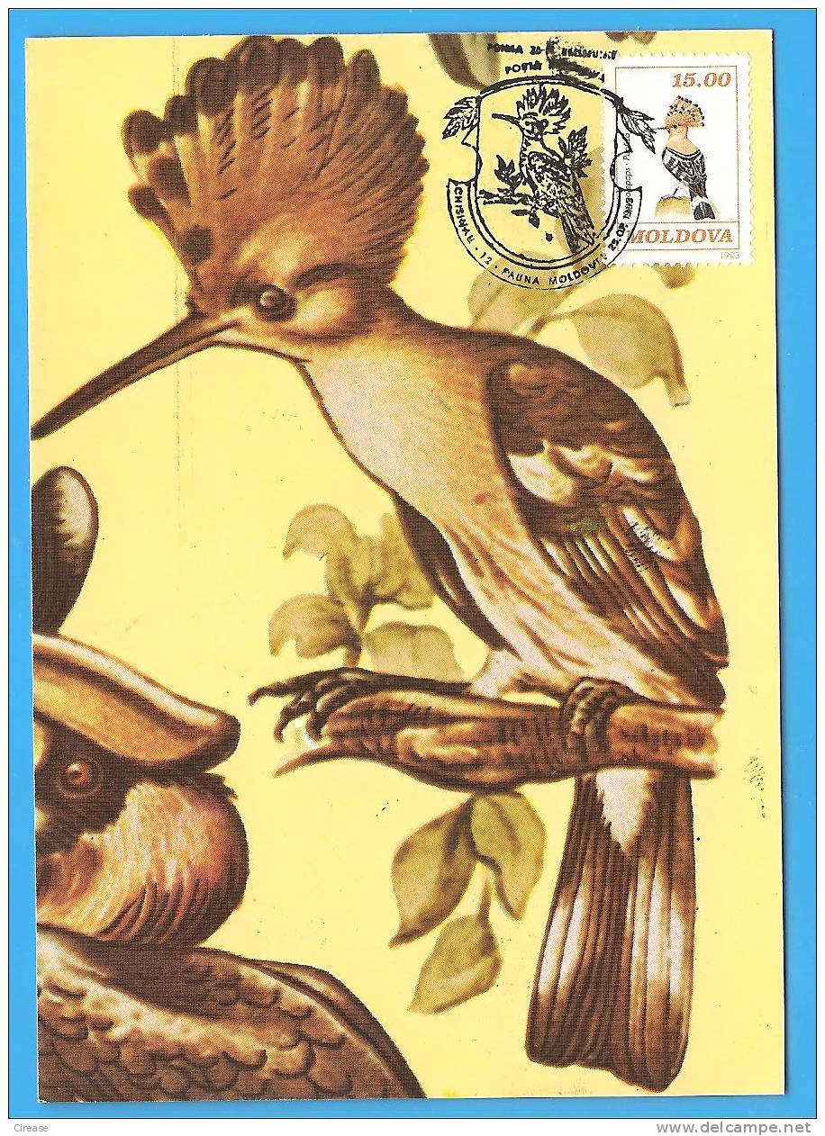 MOLDOVA Maxi Card / Maximumcard. Bird - Colibrì