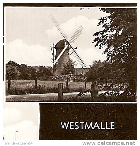 AK 973 GROETEN UIT WESTMALLE Mehbild 5 Bilder Scherpenbergmolen 12.7.78 13 2140 WESTMALLE N. 3700 Tongeren Prov. Limburg - Malle