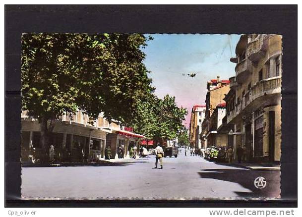 ALGERIE Tiaret Rue Albert Soler, Animée, Couleur, Ed Sirecky 31, CPSM 9x14, 195? - Tiaret