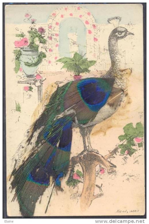 Peacock Bird With Real Feathers - Autres & Non Classés