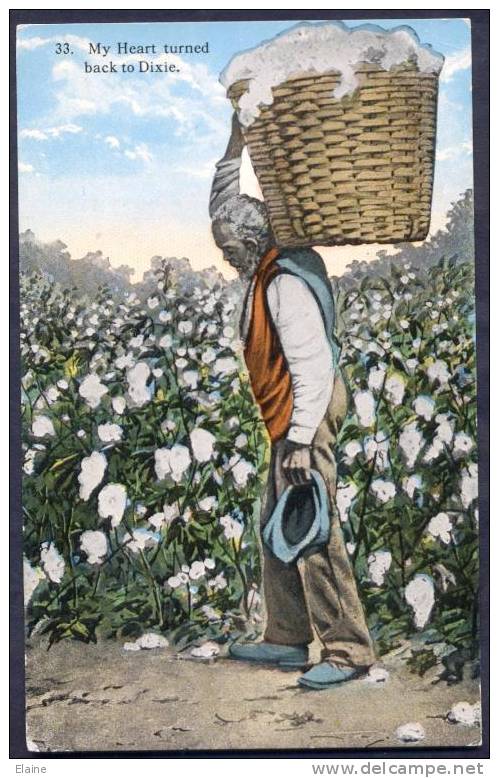 Black American Cotton Picker - Negro Americana