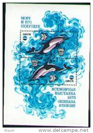 Bloc Russe Sur Les Dauphins, XX - Dolphins