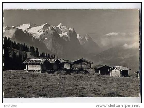 Cpsm HASLIBERG Ob MEIRINGEN 12520 Oyger - Hasliberg