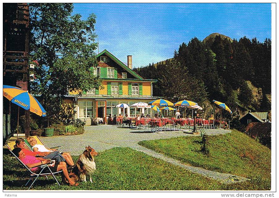 Postal, RIGI KALTBAD 1974 ( Suiza), Post Card, Postkarte - Brieven En Documenten